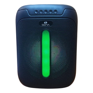 Parlante Bluetooth Usb Fm Rgb Ligth Bateria Litio Partybox