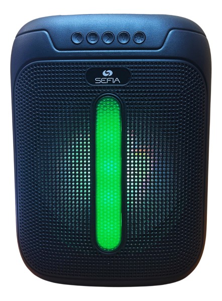 Parlante Bluetooth Usb Fm Rgb Ligth Bateria Litio Partybox