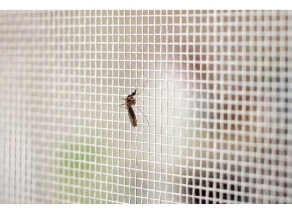 Tejido Malla Mosquitero De Fibra Negro 1m Ancho Por Metro - Imagen 5