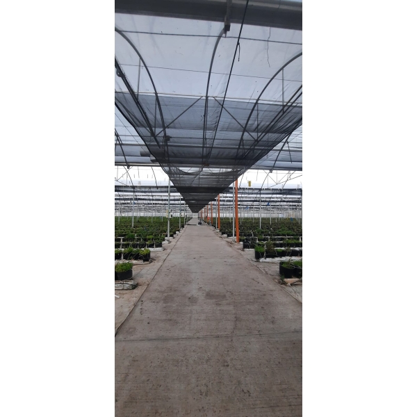 20mt Malla Sombra Doble 4mt Ancho Varios Colores Resistente - Imagen 4