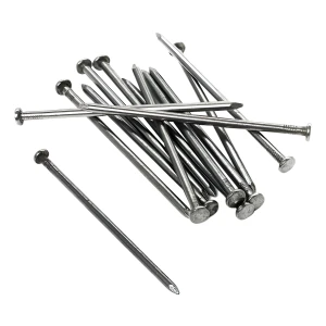 Clavos Con Cabeza 2 Pulgadas (todas Las Medidas) X Mayor