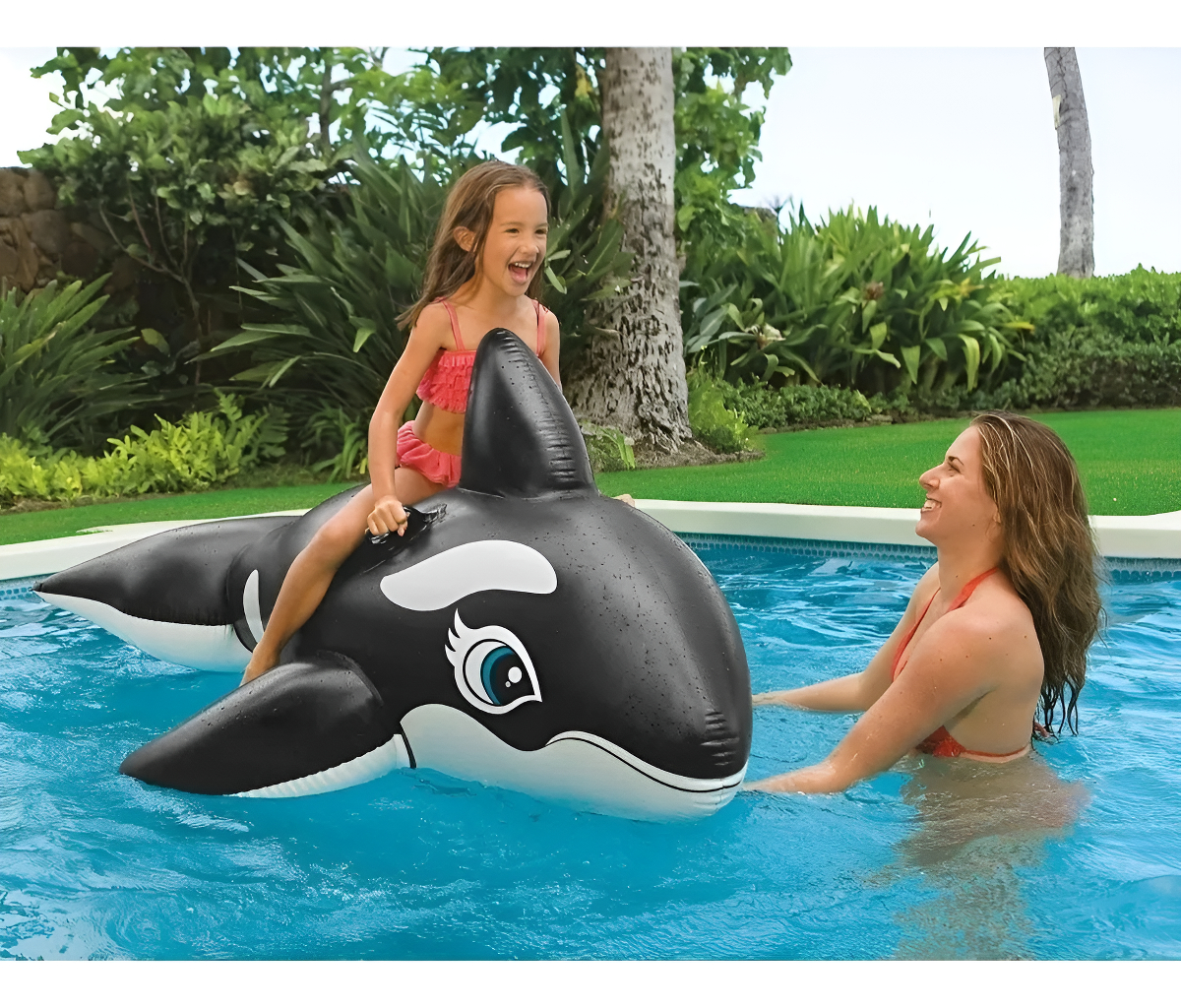 Inflable Orca Ballena Para Niños Playa Piscina Intex 58561