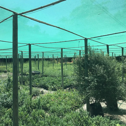 10mt De Tejido Malla Sombra Doble De 4mt De Ancho 80%sombra - Imagen 11