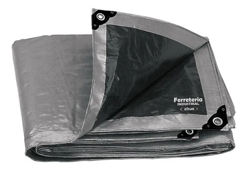Toldo Truper 11 Color Plateado