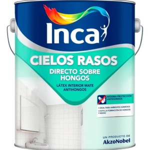 Pintura Para Cielos Rasos Inca Directo Sobre Hongos 20 Lts Blanco Mate
