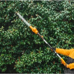 Cortacerco Podador De Altura Inalámbrico 20v 460mm Ingco Naranja
